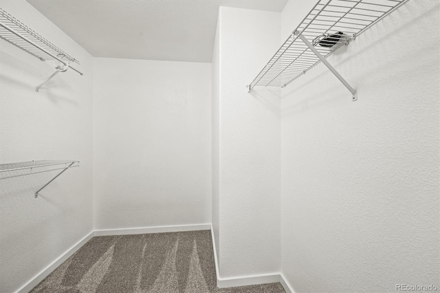 20455 E Grand Ln, Aurora, CO 80015 - photo 27