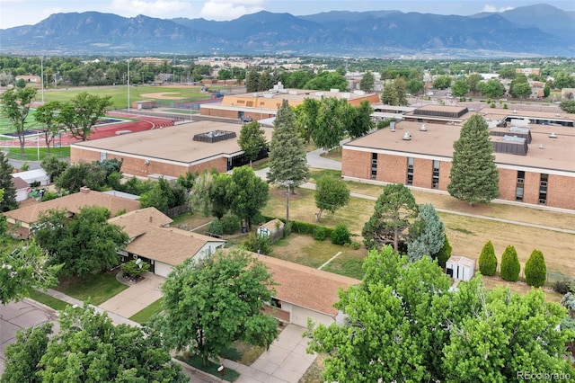 1202 Fosdick Dr, Colorado Springs, CO 80909 - photo 45