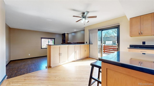 kitchen with light wood-style flooring, dark countertops, a wealth of natural light, and a ceiling fan