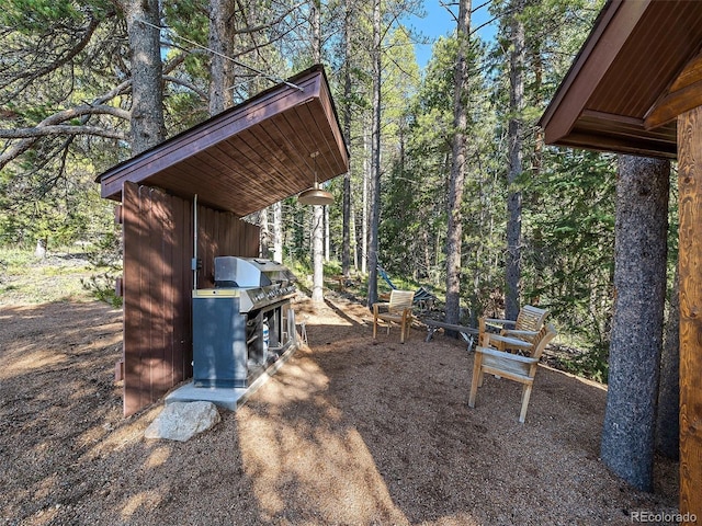 view of yard featuring an outdoor kitchen