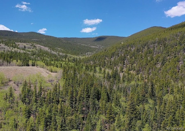 3257 Trail Creek Rd, Idaho Springs, CO 80452