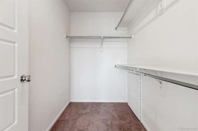 5383 Andes St, Denver, CO 80249 - spacious closet featuring carpet flooring