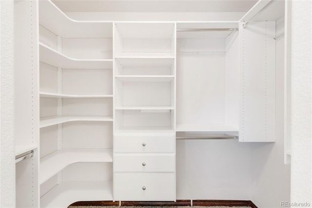 view of spacious closet