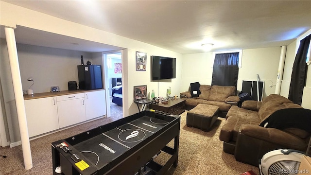 playroom with light colored carpet