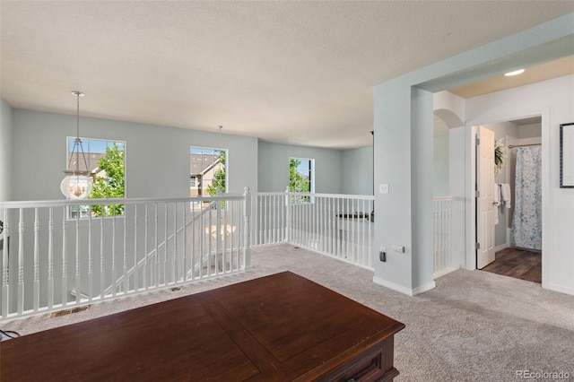 8318 Devinney Ct, Arvada, CO 80005 - spare room featuring plenty of natural light and carpet