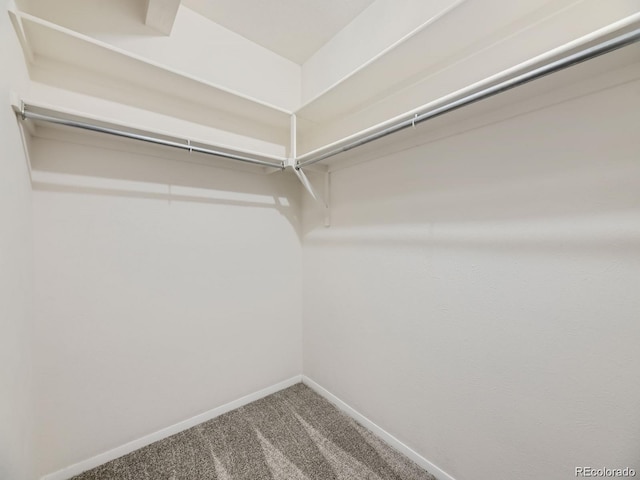 spacious closet with carpet floors