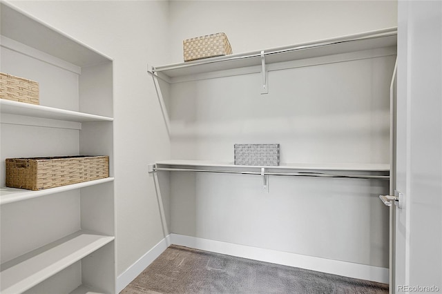 spacious closet with carpet floors