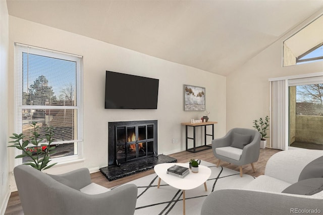 living room with vaulted ceiling, a premium fireplace, and wood-type flooring