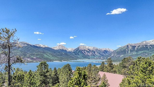 86 La Plata Peak Dr, Twin Lakes, CO 81251 - photo 3