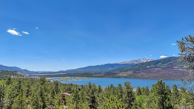 86 La Plata Peak Dr, Twin Lakes, CO 81251 - photo 4