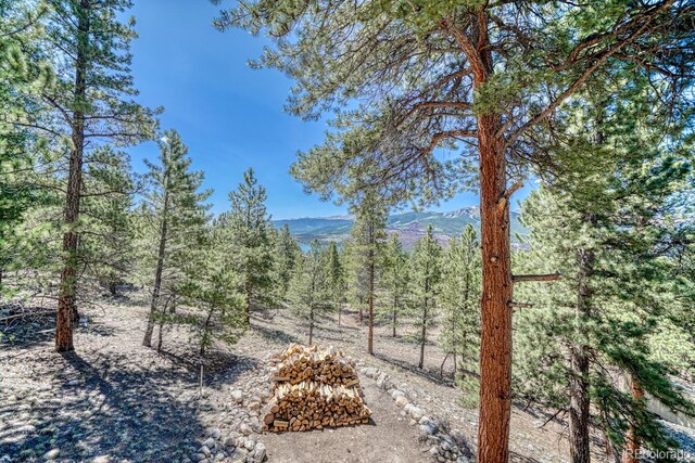 86 La Plata Peak Dr, Twin Lakes, CO 81251 - photo 36