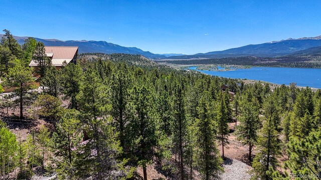 86 La Plata Peak Dr, Twin Lakes, CO 81251 - photo 39