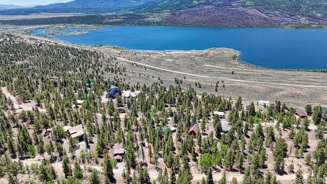 86 La Plata Peak Dr, Twin Lakes, CO 81251 - photo 44