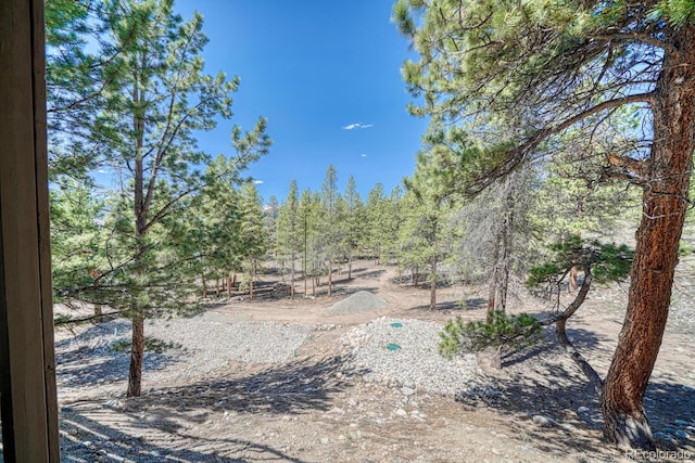 86 La Plata Peak Dr, Twin Lakes, CO 81251 - photo 46