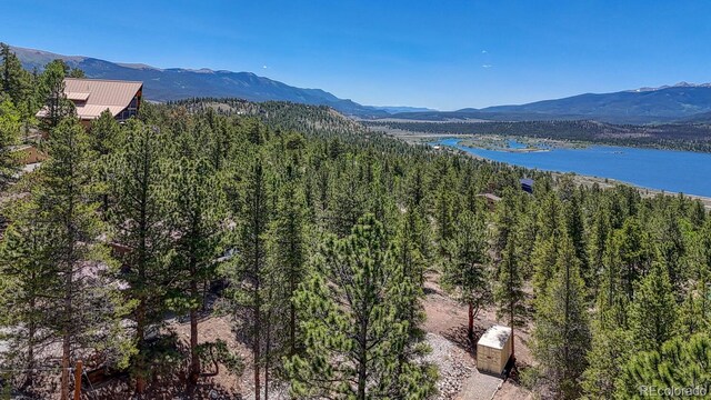 86 La Plata Peak Dr, Twin Lakes, CO 81251 - photo 48