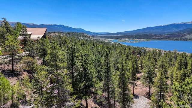 86 La Plata Peak Dr, Twin Lakes, CO 81251 - photo 49