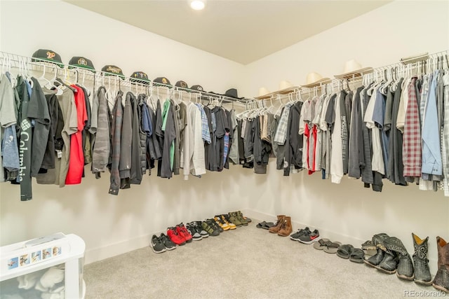 spacious closet featuring carpet floors