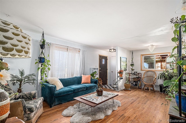 living room with a healthy amount of sunlight and light hardwood / wood-style flooring