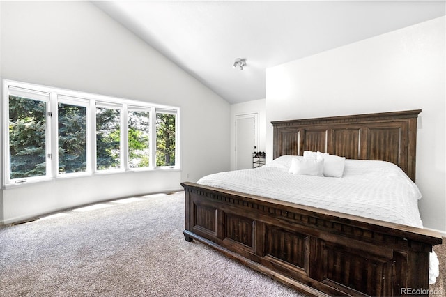 3253 S King Way, Denver, CO 80236 - bedroom with vaulted ceiling and carpet