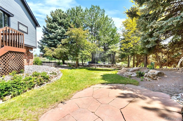 3253 S King Way, Denver, CO 80236 - view of green lawn featuring a trampoline and a patio