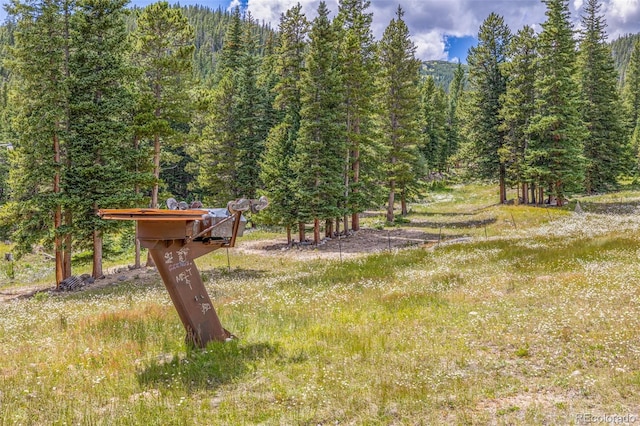 508 Hilltop Rd, Idaho Springs, CO 80452