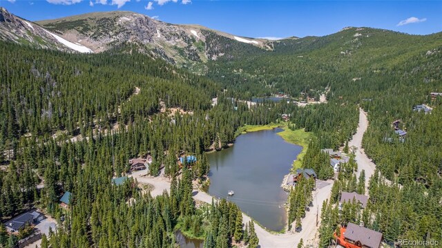 508 Hilltop Rd, Idaho Springs, CO 80452