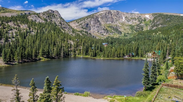 508 Hilltop Rd, Idaho Springs, CO 80452