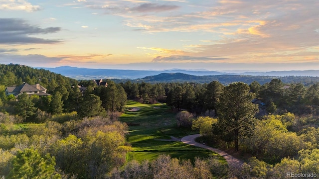 7071 Turweston Ln, Castle Pines, CO 80108 - view of mountain backdrop featuring a forest