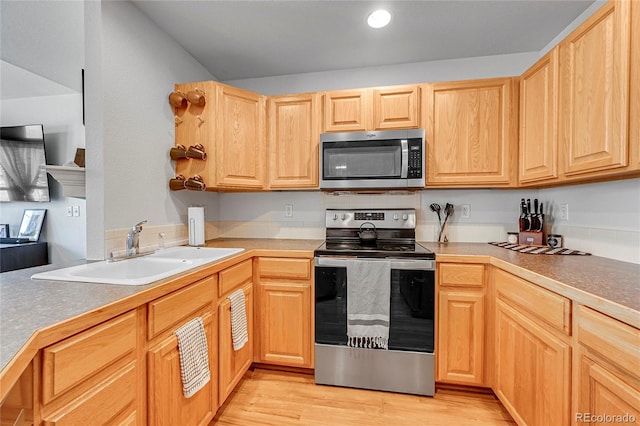 248 Habitat Cir, Windsor, CO 80550 - photo 13