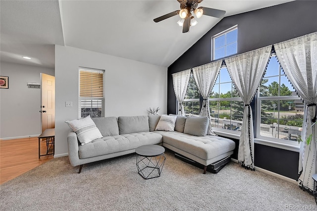 248 Habitat Cir, Windsor, CO 80550 - photo 16