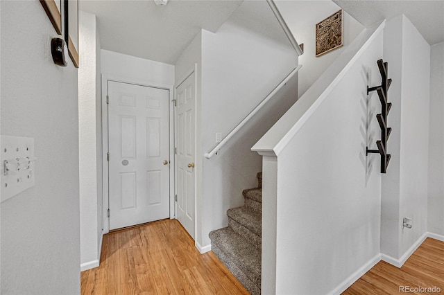 248 Habitat Cir, Windsor, CO 80550 - photo 20