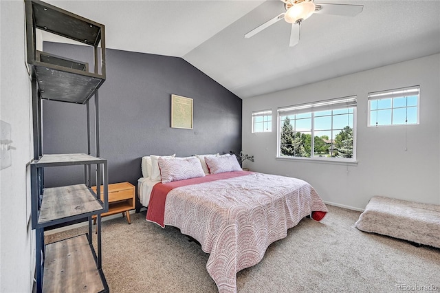 248 Habitat Cir, Windsor, CO 80550 - photo 23