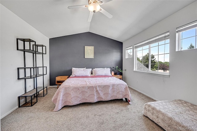 248 Habitat Cir, Windsor, CO 80550 - photo 24
