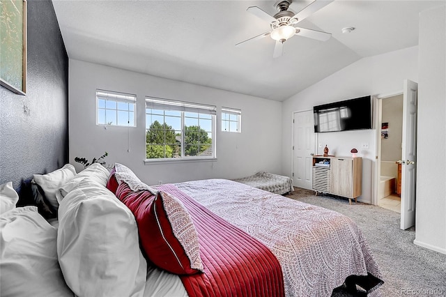248 Habitat Cir, Windsor, CO 80550 - photo 25