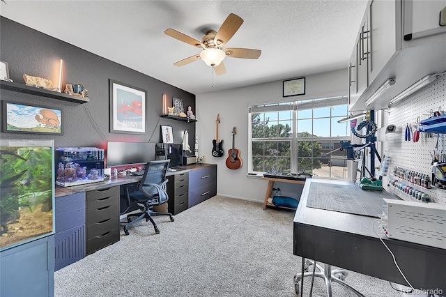 248 Habitat Cir, Windsor, CO 80550 - photo 28