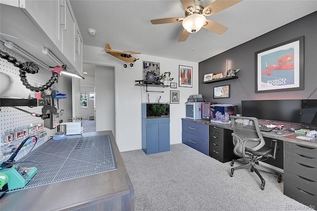 248 Habitat Cir, Windsor, CO 80550 - photo 29