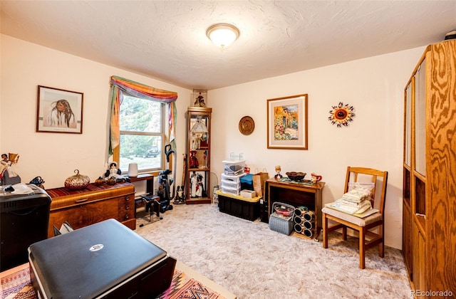 1059 S Elbert St, Elizabeth, CO 80107 - photo 16