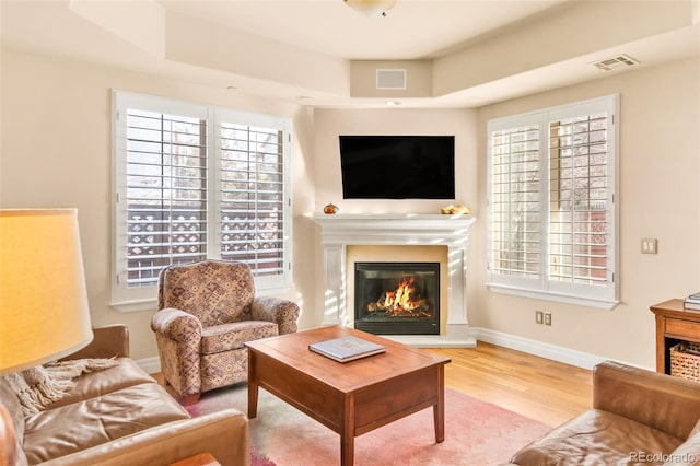 living room with light hardwood / wood-style floors and a raised ceiling