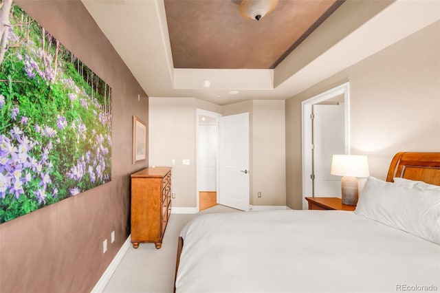 bedroom featuring a raised ceiling