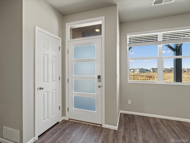 foyer entrance with dark wood-type flooring