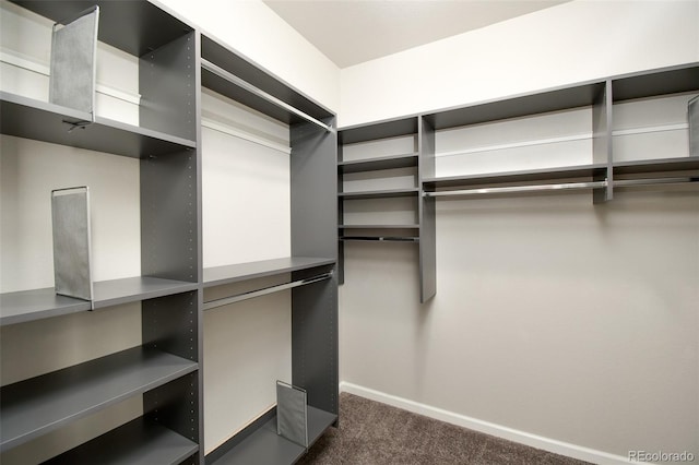 spacious closet with dark colored carpet