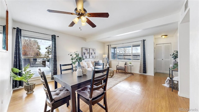 dining space with ceiling fan, light wood-type flooring, visible vents, and baseboards