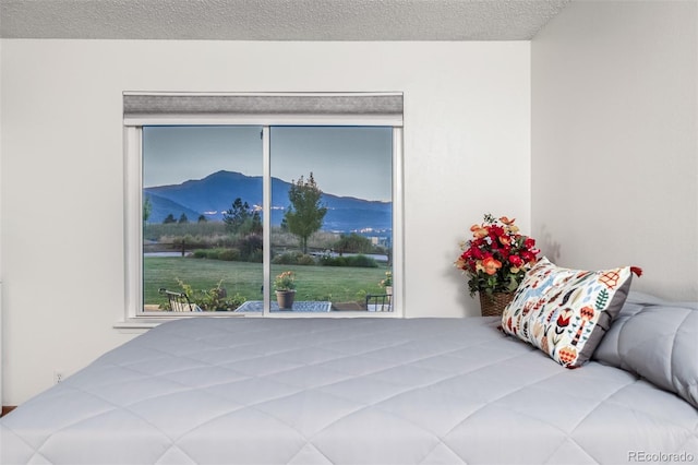 4226 S Eldridge St Unit 103, Morrison, CO 80465 - photo 19