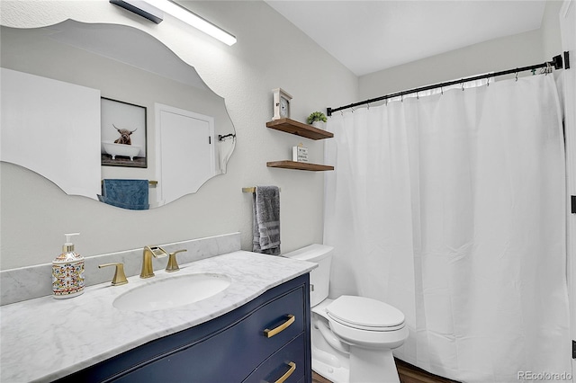 bathroom with vanity, toilet, and wood finished floors