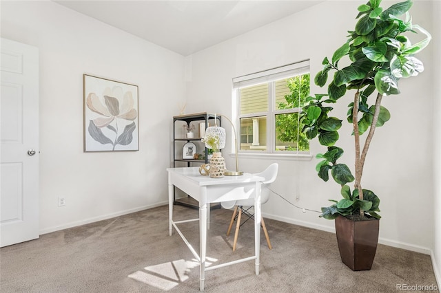 5444 Zephyr St Unit 203, Arvada, CO 80002 - carpeted office space with baseboards