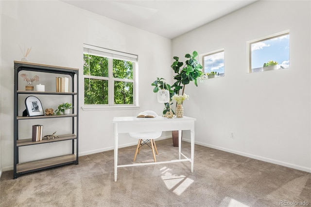 5444 Zephyr St Unit 203, Arvada, CO 80002 - office with carpet floors and baseboards