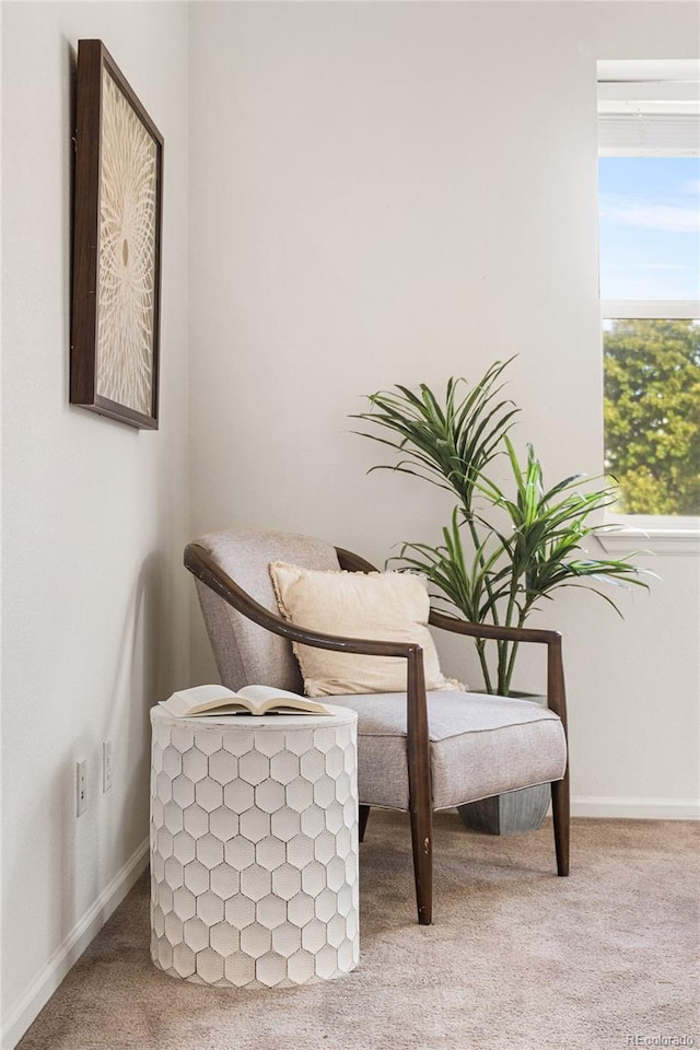 5444 Zephyr St Unit 203, Arvada, CO 80002 - living area featuring carpet floors and baseboards
