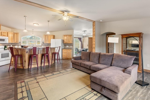 living room featuring plenty of natural light, ceiling fan, and wood finished floors