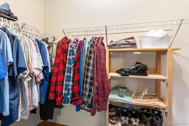 view of spacious closet