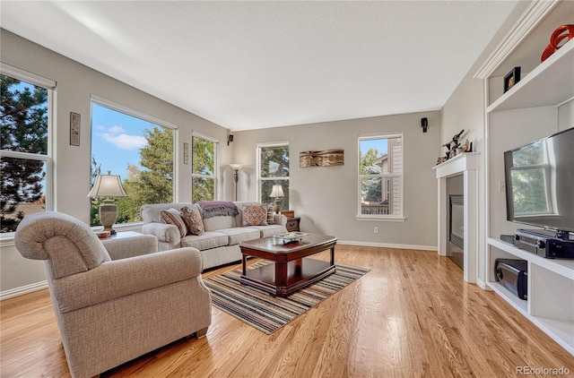 living room with a healthy amount of sunlight and light hardwood / wood-style flooring